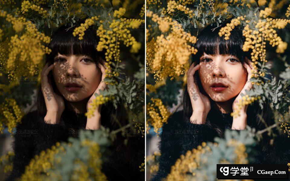 7733e8d04e6a4a35b872219e4c8d4d22