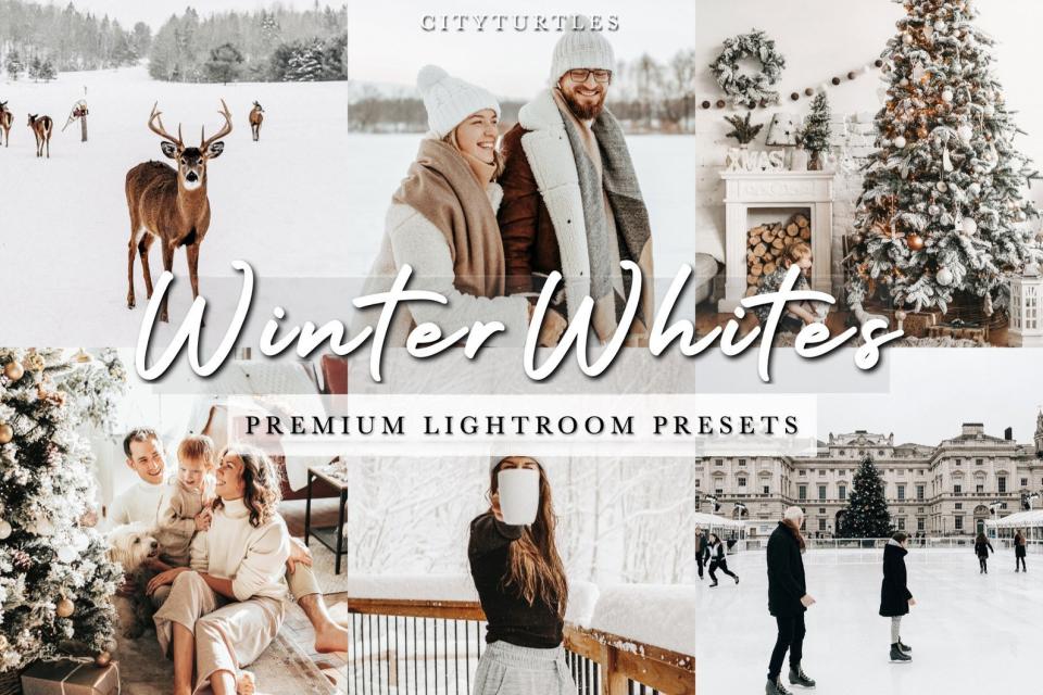 婴儿预设 自拍预设 婚礼预设SEASONS BUNDLE Lightroom 预设