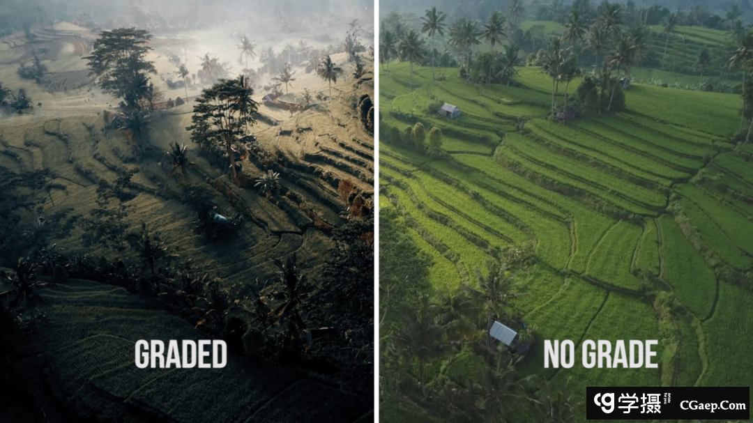 79ffe981a2dbe9be23802738a0b73163