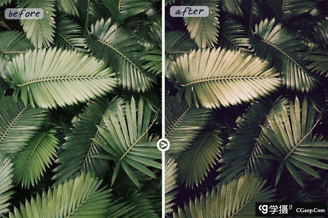 7a966c79428c381c6e3bae59fef754ce