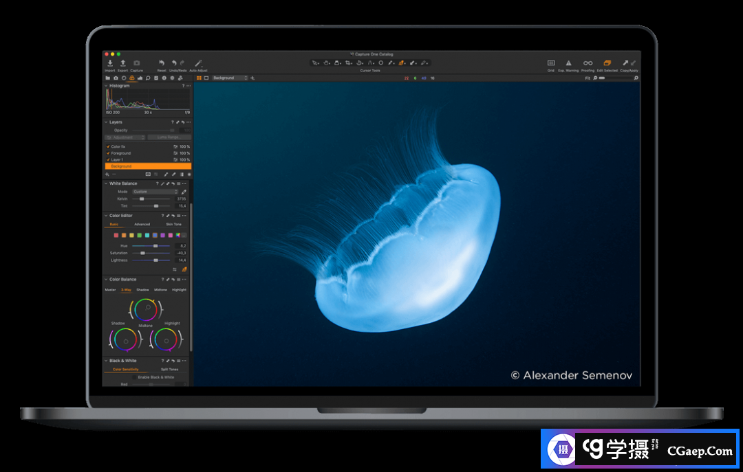 1584450137-164016b86291e9a