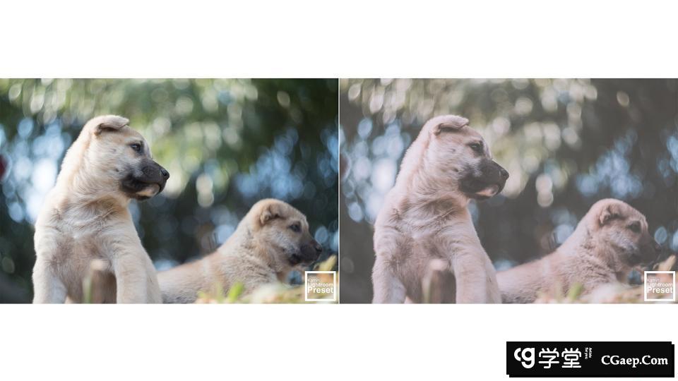 7cc4bfdaa6c1a6bd1320b1ac158fd62d