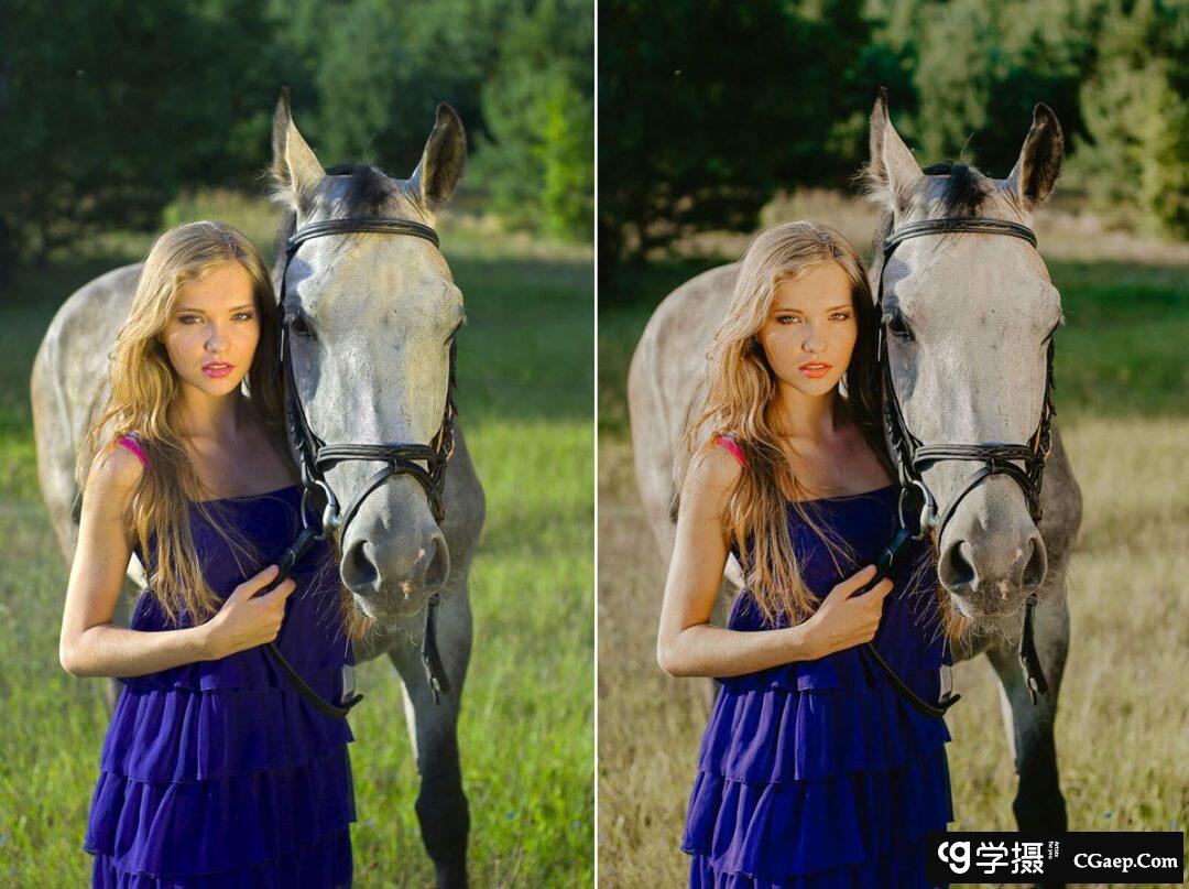 7d7b62eebbc1f28b8521c87812d5a446