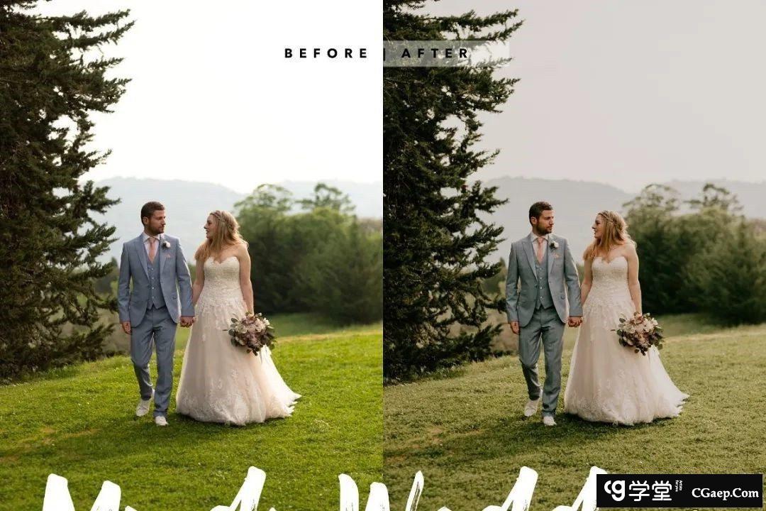 7ebc15a4abedb41a282568977385bafb