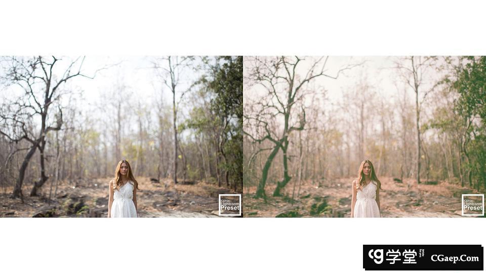 889b76bf471f3aa4bba23452026d5248