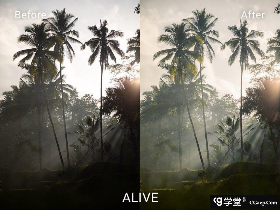 88ae6b692436b2944570f17788f9fb16