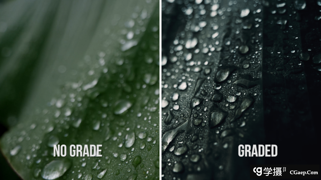 8a0310d8b9c9bffd4191f7e4e810b44e