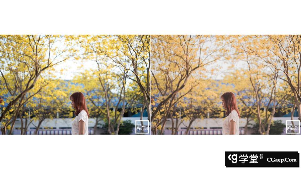 8a89a71eb16c6693aad9a0a2de0ea9ad