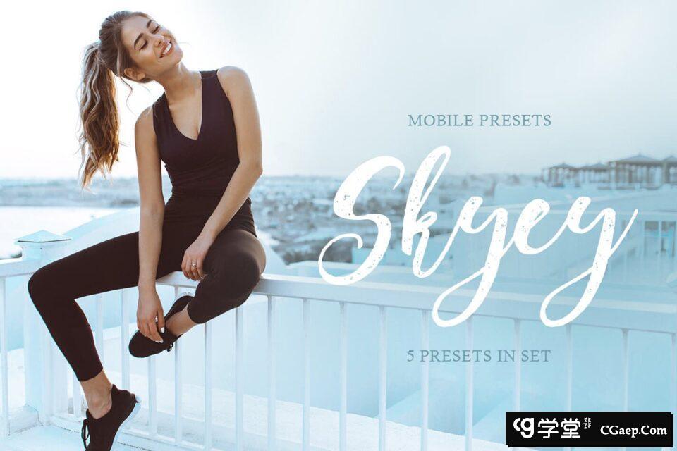 日系清新通透居家旅拍人像LR预设/手机LR预设 Skyey Mobile Presets