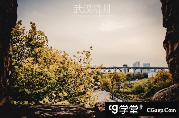 915fd90c6f331f4798e2d5ee55ed8e7b