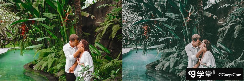 热带雨林旅拍电影胶片色调Lightroom预设 OnPresets - Tropical Forest