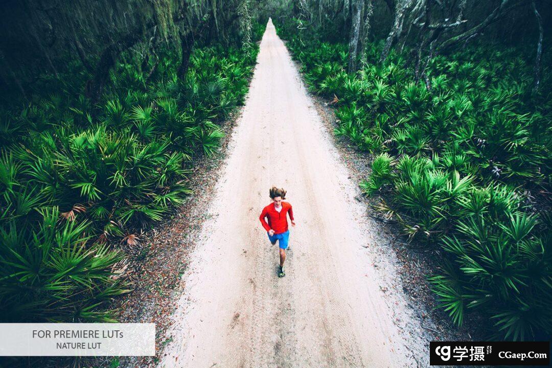 9652e0a4259d20ab672ff3de4306d3ff