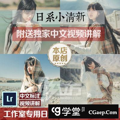 工作室专用日系小清新日系调色教程lr预设Lightroom预设