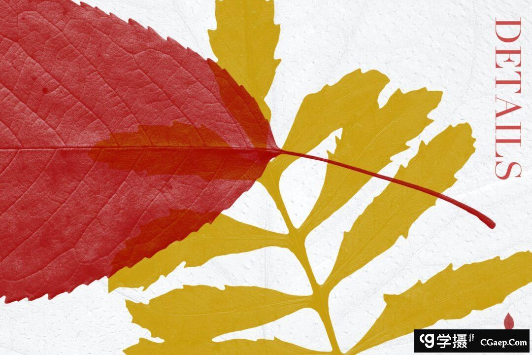 98e5efa6abc41a9bf7ee9b75fbb49b5f