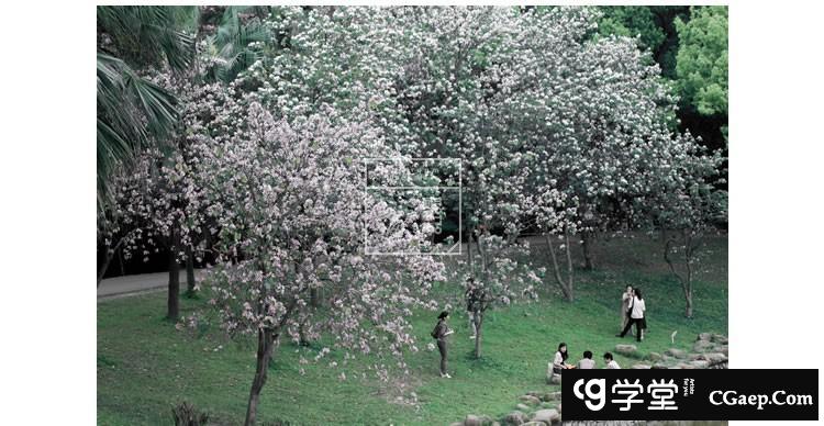 99148c1201b4e6a67c405c395679d91f