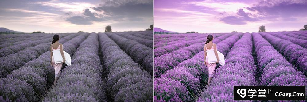 时尚紫色调风光人像Lightroom调色预设 OnPresets- PURPLE TONE