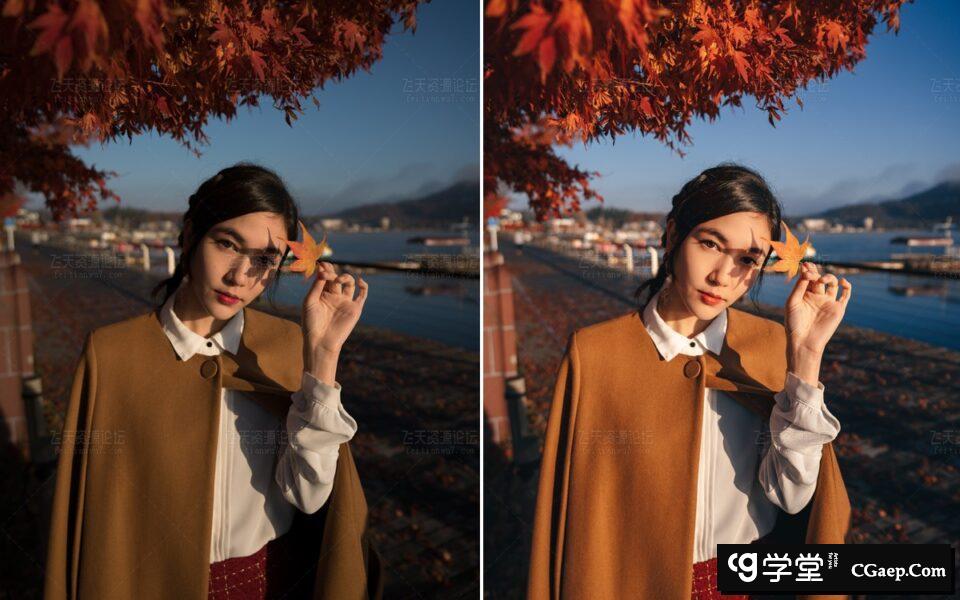 9be1d2a24894beff85d3f75511375e51