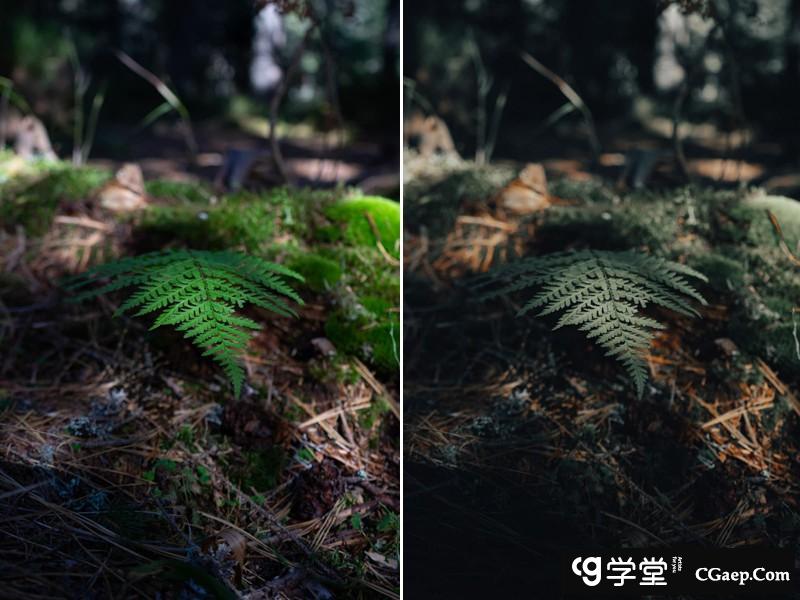 9c1210856509186539a80309c990af01