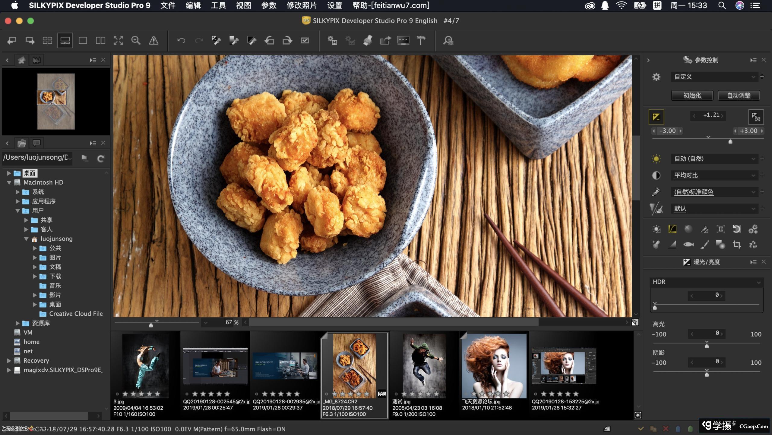 RAW软件标准版 SILKYPIX Developer Studio StdE 9E 9.1.7 for Mac汉化版插图2