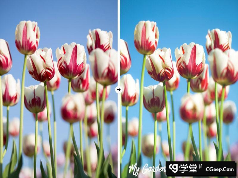 9f68519cd490290ed6fcd7fd9e4429c2