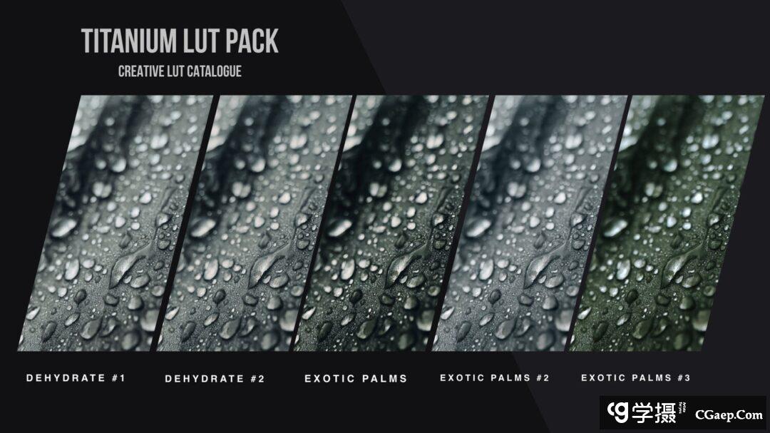 9faebe3f7696fa28fdf95136bf6a8351