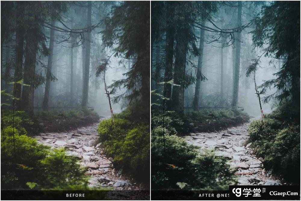 a00ac77f44e0fb79940e51d90e109260