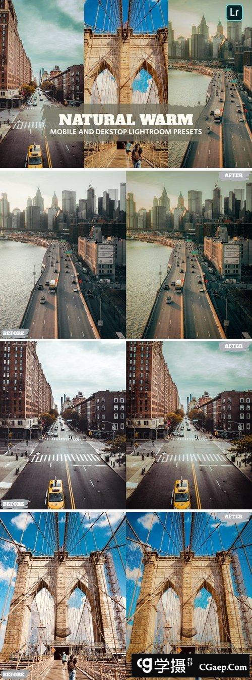 自然温暖的 Lightroom 预设城市复古风格色调