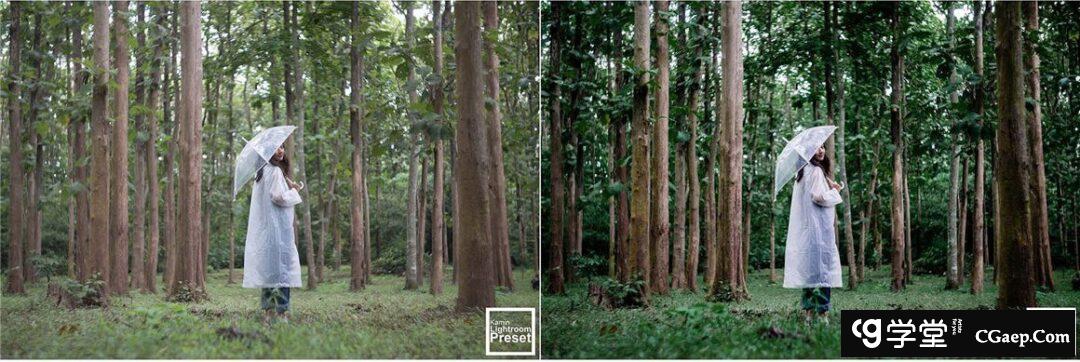 a4c44832755c680dda04ec14cee50219