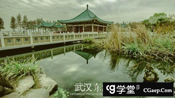 a5c29b094b3a55c0e3bbb0fea77c9009