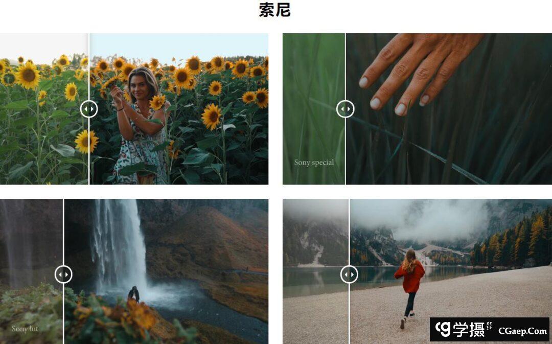 a6b450af3fdc2f32d2d2c0351b0313e0