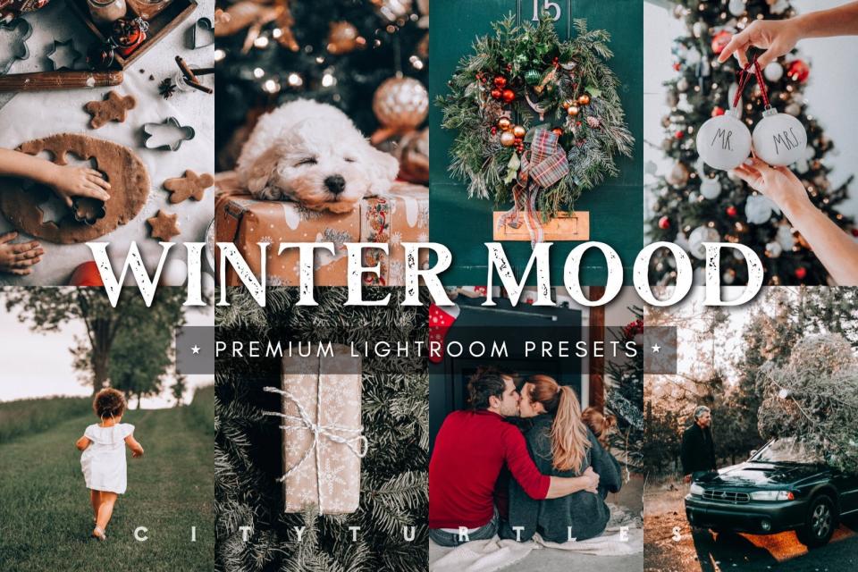 婴儿预设 自拍预设 婚礼预设SEASONS BUNDLE Lightroom 预设