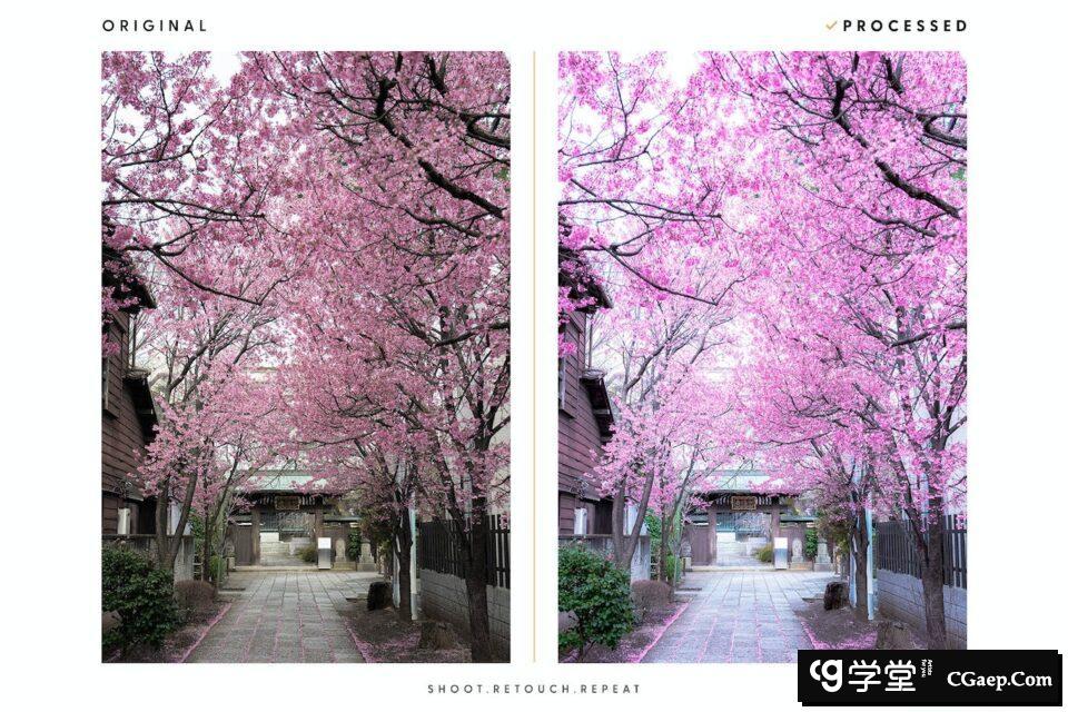 a8d5fdcbcee7e6d88c1c416dcf2215a7