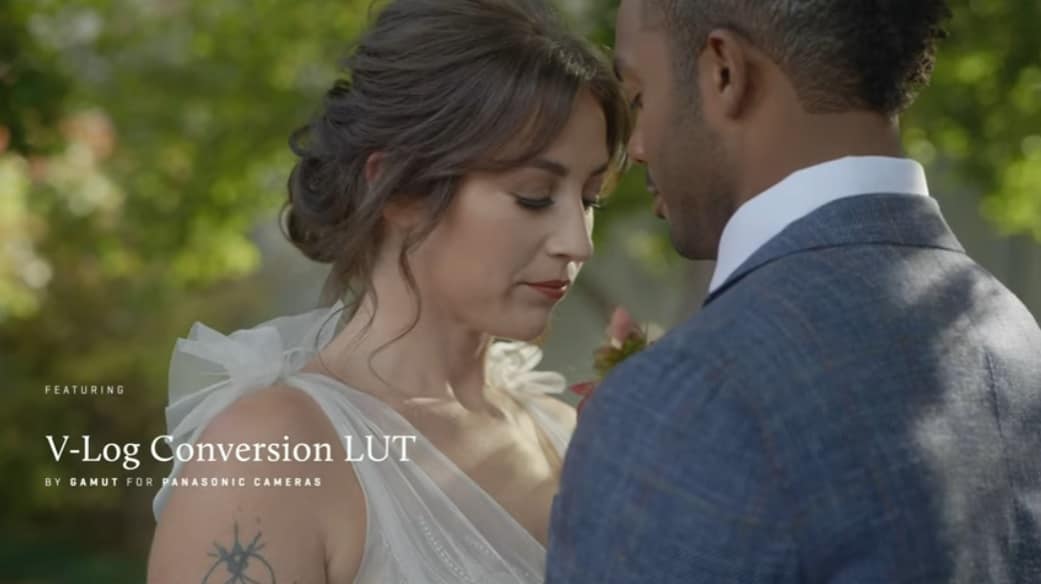 Gamut Panasonic Conversion LUTs for V-Log