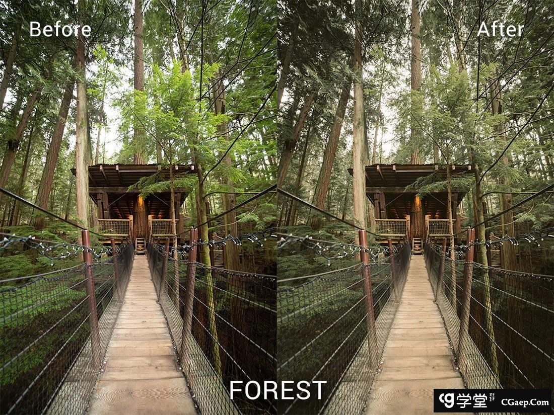 aec91fa8360a698774e2d4ea326819ea