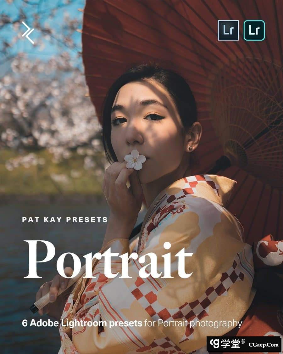 Pat Kay网红INS日系人像后期调色L预设+移动APP滤镜 Pat Kay-Portrait Presets