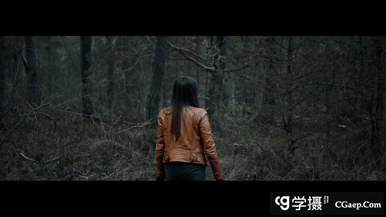 bd7a4d3405e14cdbba7c4512d7bea545