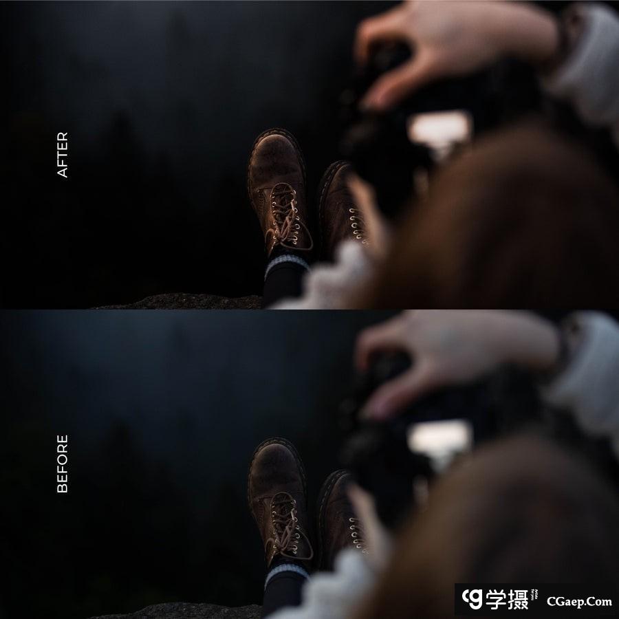 Pohleroid - 经典复古莱卡胶片电影风光大师Lightroom预设(38 个预设)