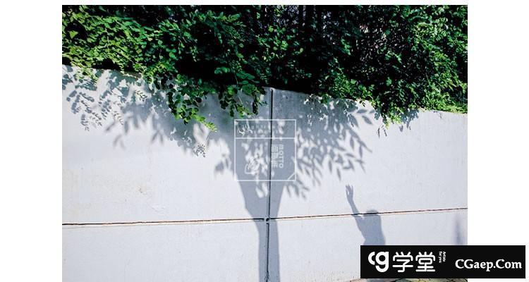 c362a8e91ed676355ae0d5dc1a2d957d