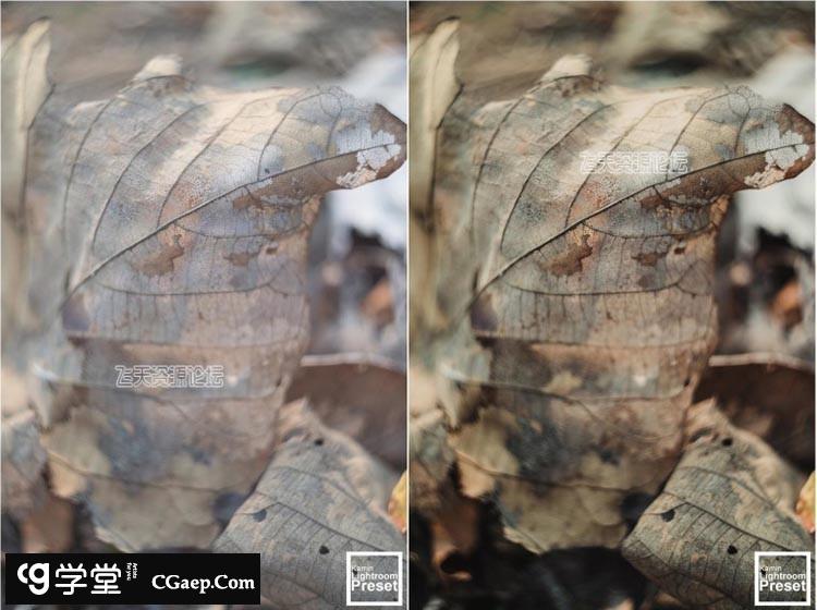 c40c7ba9de3944be04db60fcf1337c22