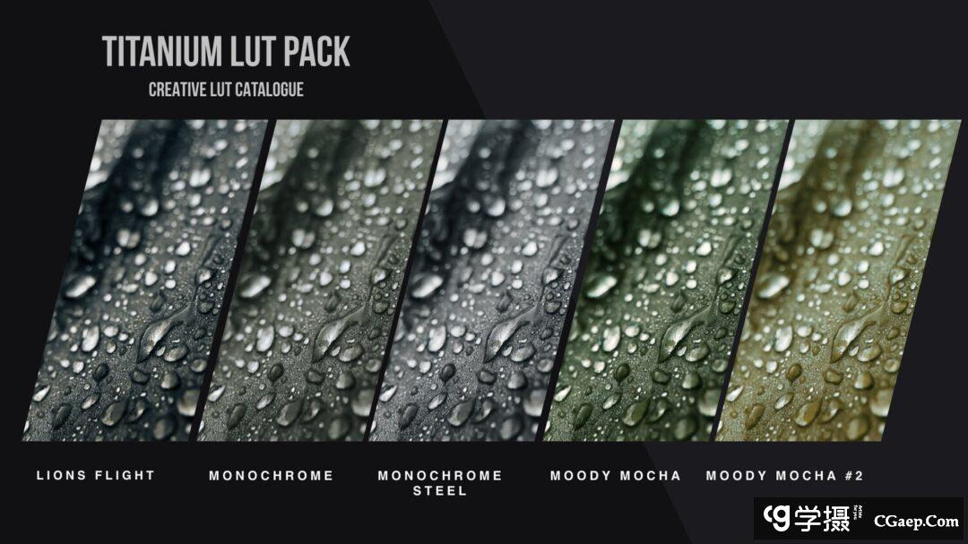 c575a70e3b21e9f593f183d2ab2412a8