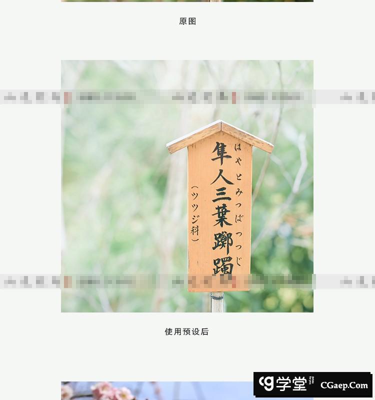 c5e0faeea7145656401200558126123f