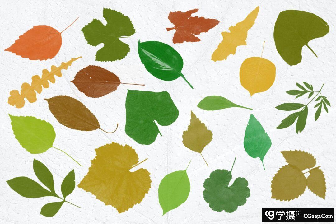 c724313311b70eb3c4a38f9499df38d0