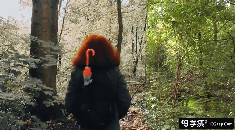 c757382136389443ef10276d6bcf2eff c757382136389443ef10276d6bcf2eff