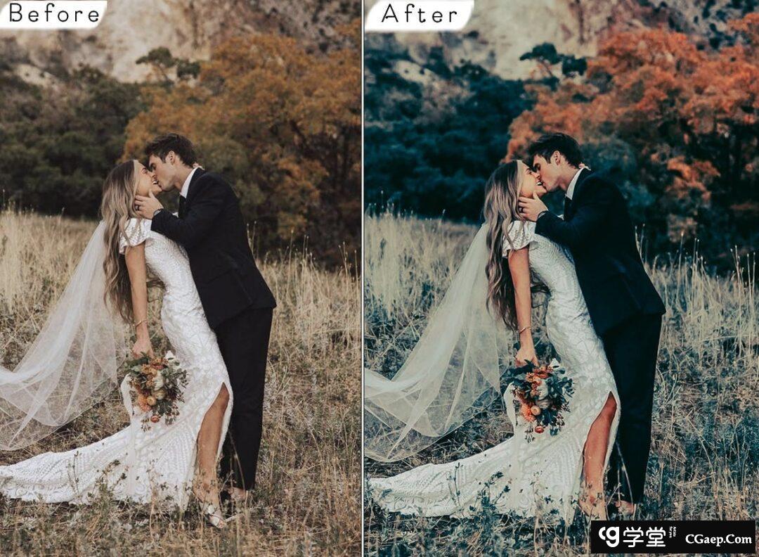 c8acf07bfe72a97332c9cf43da0e1a12