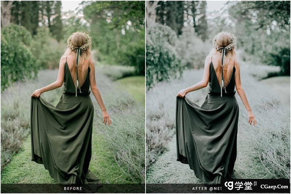 NesPresets – 森系胶片婚礼人像后期调色 LR预设 NesPresets – Evergreen Clean