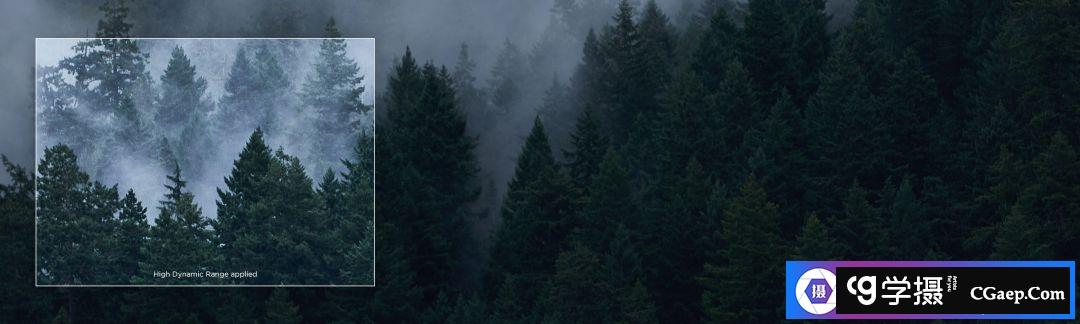 1584450205-b2e469eed69018a