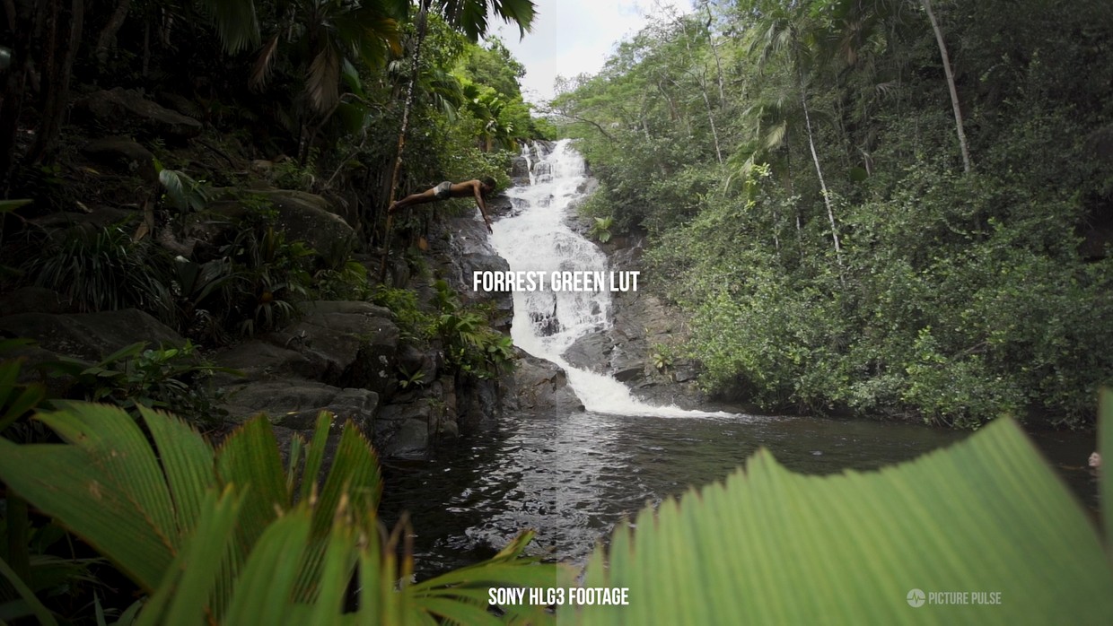 d186f5800c97e9c247df2bbe98ac6d32