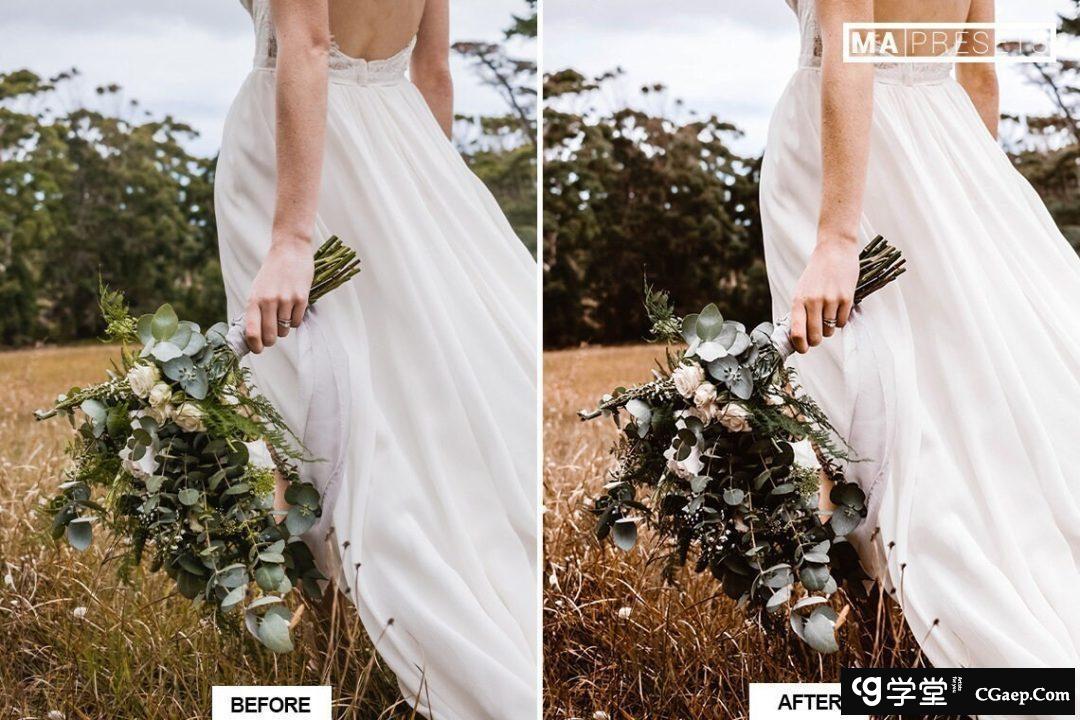 d359c32143ffca80d80b763e5c9ca495