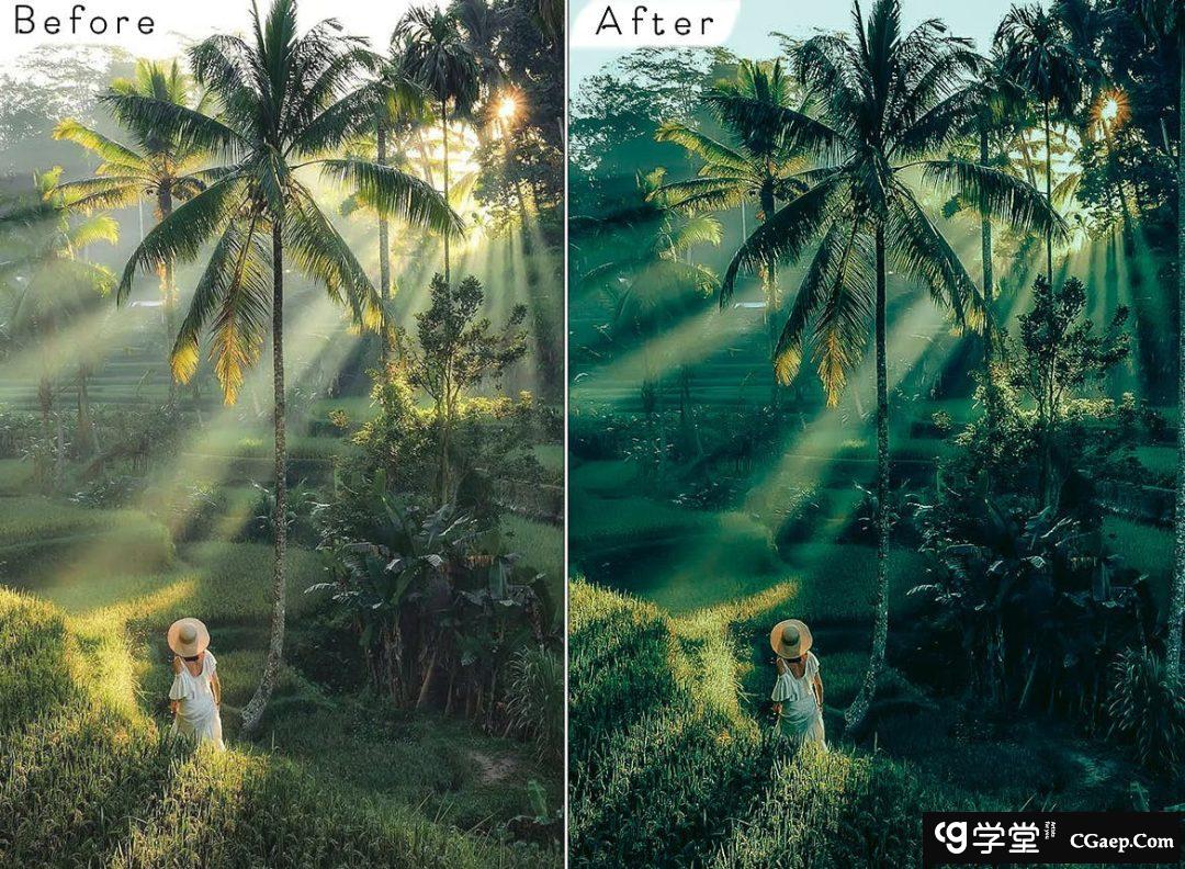 高端森系电影旅拍风光后期调色Lightroom预设 Bali Lightroom Presets