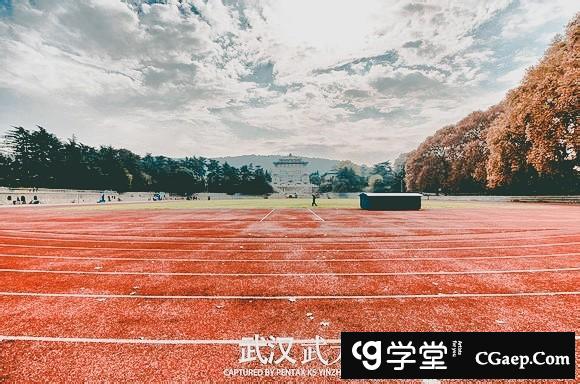 d45c357be1ba90aa290e5faadcbd2f6c